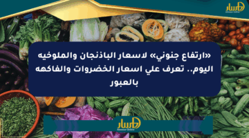 «ارتفاع جنوني» لأسعار الباذنجان والملوخية اليوم.. تعرف على أسعار الخضروات والفاكهة بالعبور